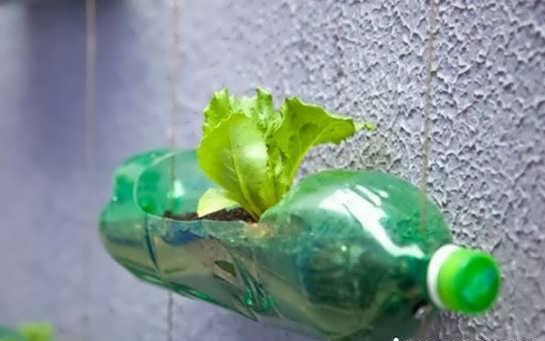 خلاقیت با بطری های بدون استفاده با روش های جذاب و جالب