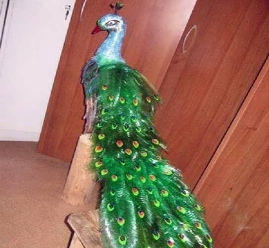 خلاقیت با بطری های بدون استفاده با روش های جذاب و جالب