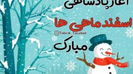 جملات تبریک تولد پسر متولد زمستان + متن های صمیمانه و خودمانی تبریک دی بهمن اسفند تبریک تولد پسر متولد زمستان