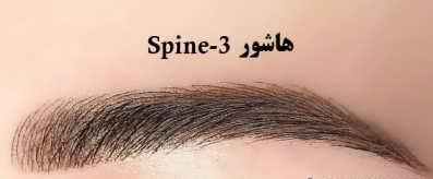 Fibros eyebrow 7 e1641915474905