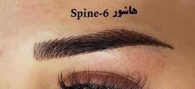 Fibros eyebrow 8 e1641915494440