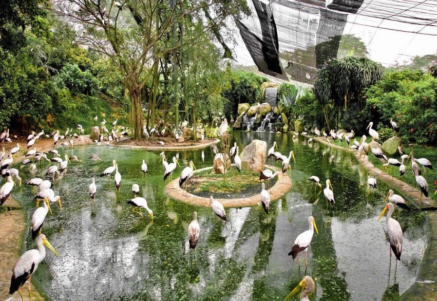 جاهای دیدنی کوالالامپور