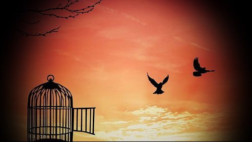 جملات کوتاه در مورد آزادی 