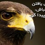 سخنان هنری فورد کارآفرین و مخترع معروف در مورد زندگی و موفقیت سخنان هنری فورد کارآفرین و مخترع معروف در مورد زندگی و موفقیت