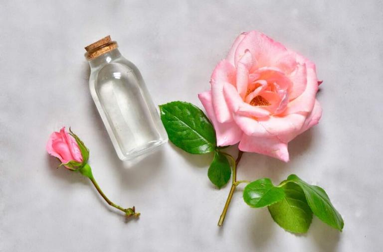 فواید گلاب برای سلامت + تمام خواص گلاب برای زیبایی پوست فواید گلاب برای سلامت + تمام خواص گلاب برای زیبایی پوست