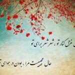 شعر زیبا برای حال خوب با گلجین بهترین اشعار وصف حس و حال خوش شعر زیبا برای حال خوب با گلجین بهترین اشعار وصف حس و حال خوش