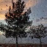 انشا صدای باران با بیش از 10 انشای ادبی زیبا و کوتاه برای مقاطع مختلف انشا صدای باران با بیش از 10 انشای ادبی زیبا و کوتاه برای مقاطع مختلف