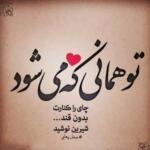 اشعار ناب کوتاه و بلند زیبا از شاعران معروف با مضامین احساسی