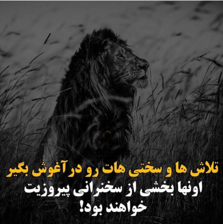 جملات انگیزشی کوتاه تلاش و متن های فوق العاده برای رسیدن به هدف برتر زندگی جملات انگیزشی کوتاه تلاش و متن های فوق العاده برای رسیدن به هدف برتر زندگی