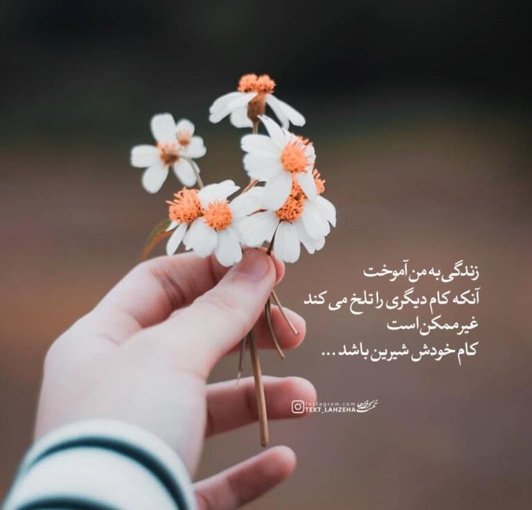 اشعار ملک الشعرای بهار و گلچین شعر کوتاه و بلند عاشقانه این شاعر