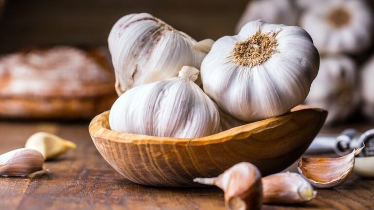 بهترین راهکارهای درمان زگیل تناسلی بهترین راهکارهای درمان زگیل تناسلی