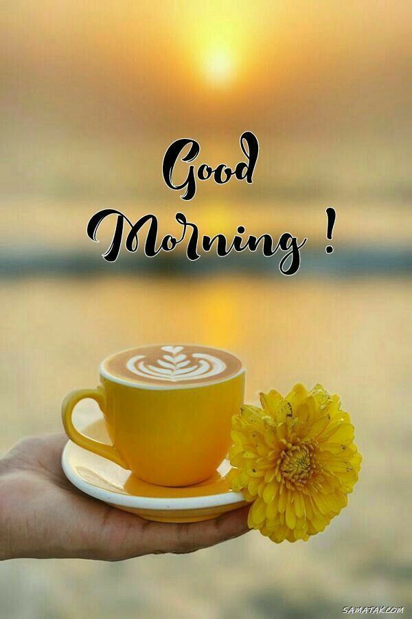 صبح بخیر باکلاس؛ متن احساسی زیبا صحبت بخیر جدید و قشنگ صبح بخیر باکلاس