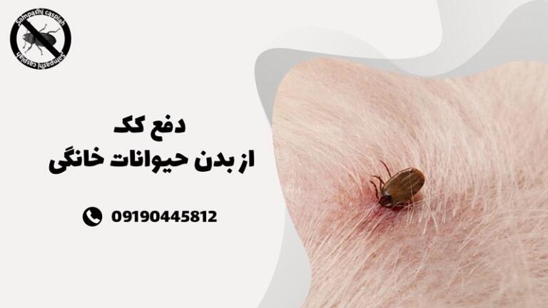 دفع حشرات و بازگشت آرامش با سمپاشی کاسپین
