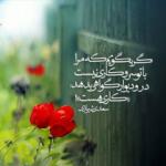 اشعار عاشقانه جهانی با مجموعه شعر کوتاه و بلند رمانتیک احساسی شاعران دنیا اشعار عاشقانه جهانی با مجموعه شعر کوتاه و بلند رمانتیک احساسی شاعران دنیا