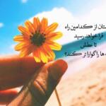 شعر تابستان و مجموعه اشعار درباره گرما، عشق و آفتاب شعر تابستان و مجموعه اشعار درباره گرما، عشق و آفتاب