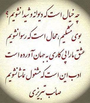 اشعار تک بیتی صائب تبریزی