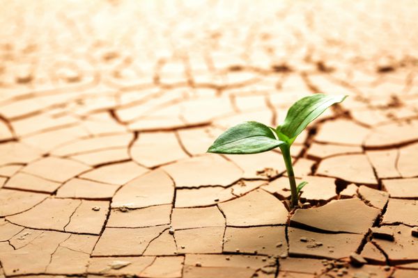 سخن بزرگان درباره امیدواری و امید داشتن| جملات امیدوار کننده بزرگان