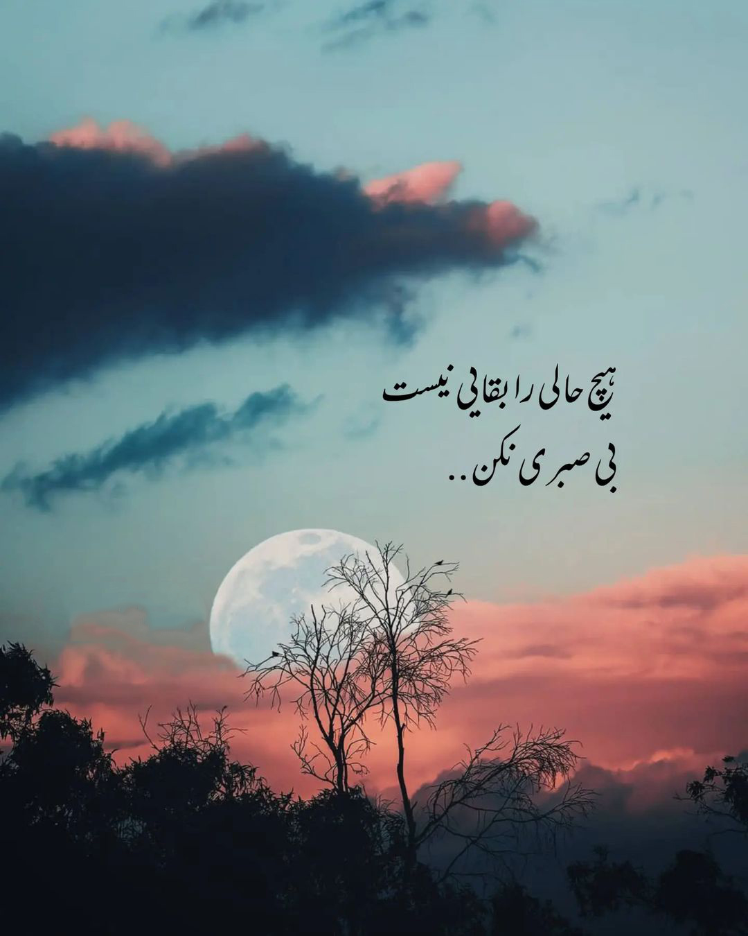 متن کپشن خاص؛ ویژه ترین متن های قشنگ کوتاه برای زیر عکس