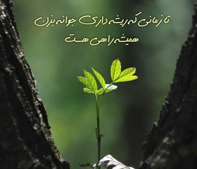 جملات موثر برای پیشرفت و رسیدن به اهداف بزرگ و بلندپروازانه جملات موثر برای پیشرفت و رسیدن به اهداف بزرگ و بلندپروازانه
