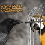 متن در مورد کلاغ | جملات زیبا درباره کلاغ سیاه