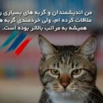 متن های زیبا در مورد گربه؛ جملات جالب درباره حیوان گربه خانگی متن های زیبا در مورد گربه؛ جملات جالب درباره حیوان گربه خانگی
