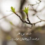 متن در مورد افسردگی | جملات سنگین خستگی و افسردگی متن در مورد افسردگی | جملات سنگین خستگی و افسردگی