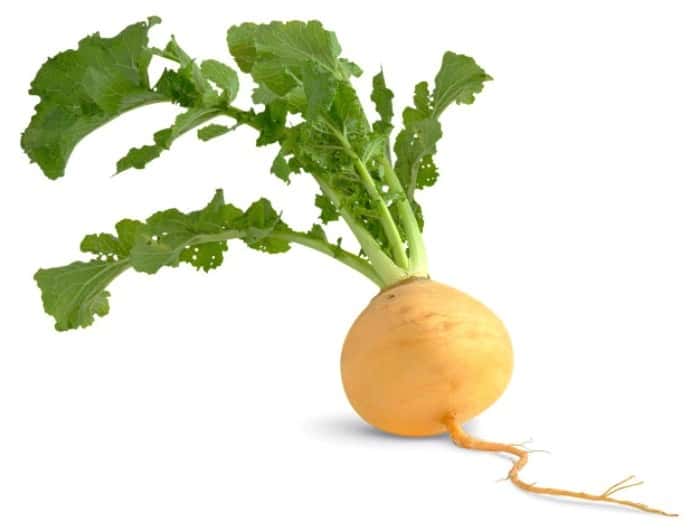 فواید شلغم برای کودک؛ تمام فواید از خواص ضد سرطانی تا بهبود عملکرد مغز