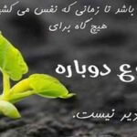 جملات انگیزشی شروع جدید؛ 50 جمله تاثیرگذار برای آغاز زندگی جملات انگیزشی شروع جدید؛ 50 جمله تاثیرگذار برای آغاز زندگی