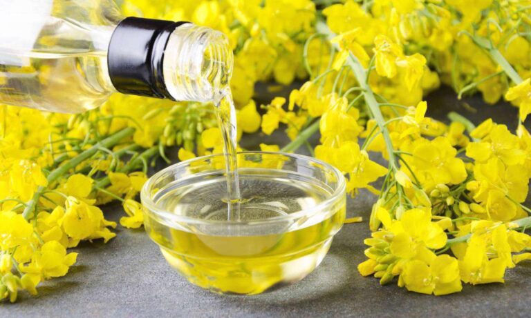 انواع روغن های سالم برای پخت و پز؛ از روغن زیتون تا روغن نارگیل انواع روغن های سالم برای پخت و پز؛ از روغن زیتون تا روغن نارگیل