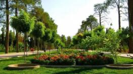 جاهای دیدنی شیراز به پیشنهاد تریپ