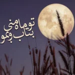 متن در مورد ماه و شب زیبا | دلنوشته سکوت زیبای شبانه متن در مورد ماه و شب زیبا | دلنوشته سکوت زیبای شبانه
