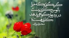 شعر شاد