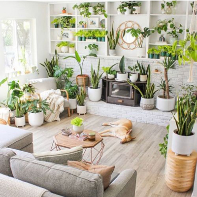 استفاده از گل های طبیعی در دکوراسیون خانه کوچک