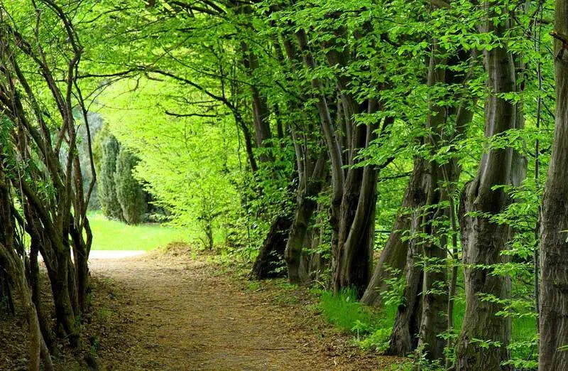 جاهای دیدنی آستارا | معرفی زیباترین جاذبه های طبیعی آستارا با عکس های زیبا پارک جنگلی بی بی یانلو