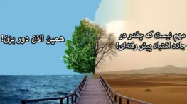 متن درباره تصمیم درست؛ جملات و سخنان درباره تصمیم های زندگی متن درباره تصمیم درست