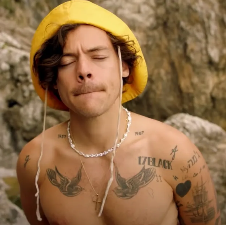 هری بیش از 60 تتو دارد!