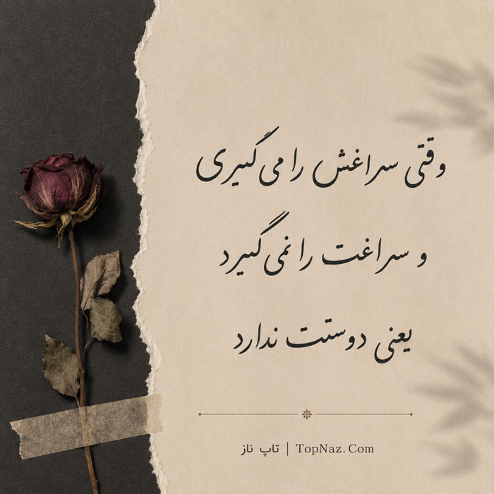 جملات بیوگرافی