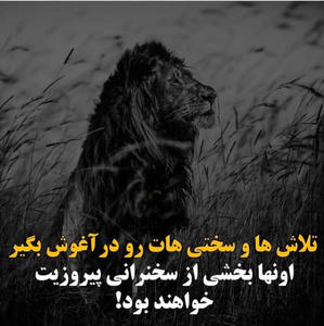 متن انگیزشی کوتاه زیر عکس؛ جملات انگیزه دهنده قوی کپشن