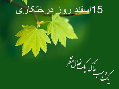 جملات زیبا برای روز درختکاری؛ متن ادبی و زیبا درباره درخت و کاشت آن fu8790