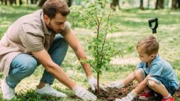 جملات زیبا برای روز درختکاری؛ متن ادبی و زیبا درباره درخت و کاشت آن جملات زیبا برای روز درختکاری