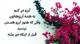 متن آرزوهای قشنگ