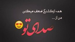 متن زیبا در مورد صدای یار