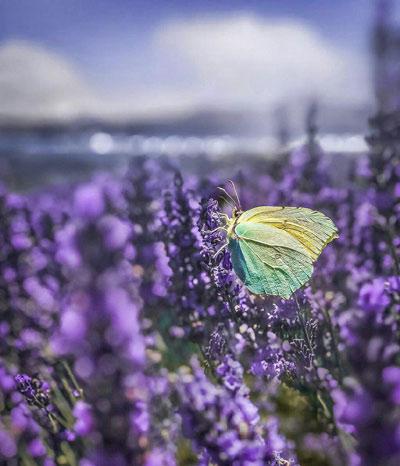 متن لذت بردن از لحظات زندگی (جملات زیبا درباره لحظات خوب زندگی) متن لذت بردن از لحظات زندگی (جملات زیبا درباره لحظات خوب زندگی)