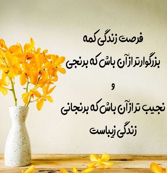 31feeda0 5393 11ee b2ef 9b6dd4d5b7be edited