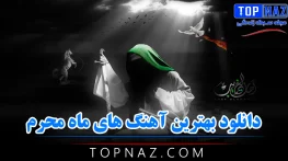 دانلود بهترین آهنگ های ماه محرم (موسیقی های پاپ با موضوع محرم و امام حسین) بهترین آهنگ های ماه محرم