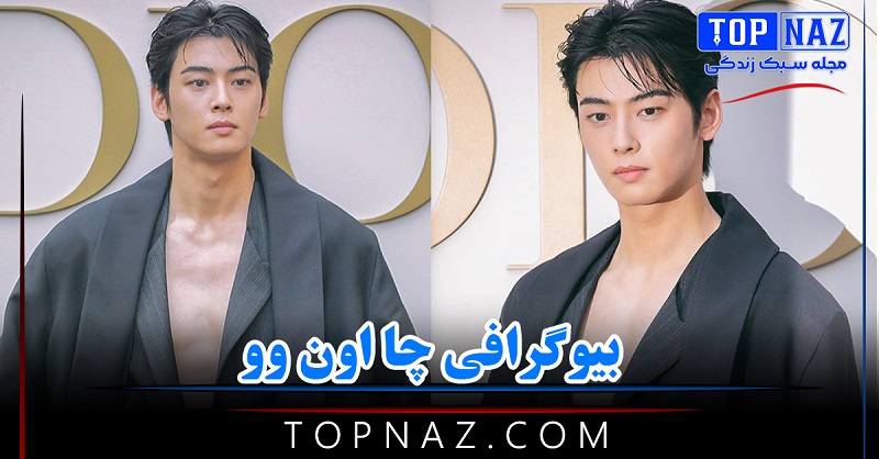 بیوگرافی چا اون وو (نگاهی بر زندگی شخصی و هنری جذاب ترین بازیگر کره)
