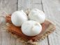 طرز تهیه سفیداب در منزل