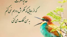 متن های شکرگزاری صبحگاهی