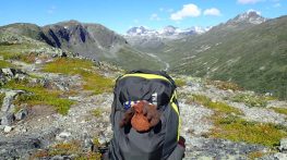 سفر با سبک خودت: چمدان، کوله پشتی یا ساک مسافرتی؟ کدام انتخاب بهتری است؟