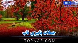 جملات پاییزی ناب (متن های عاشقانه، احساسی و غمگین درباره فصل پاییز) جملات پاییزی ناب